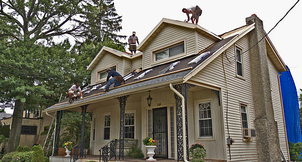 Best Flat Roof Repair Services  in New Cumberland, WV